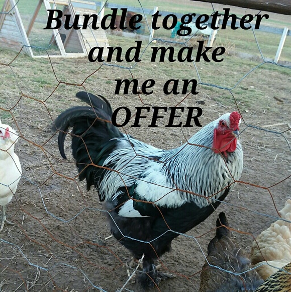 Bundle together and make me an offer! - Picture 1 of 1